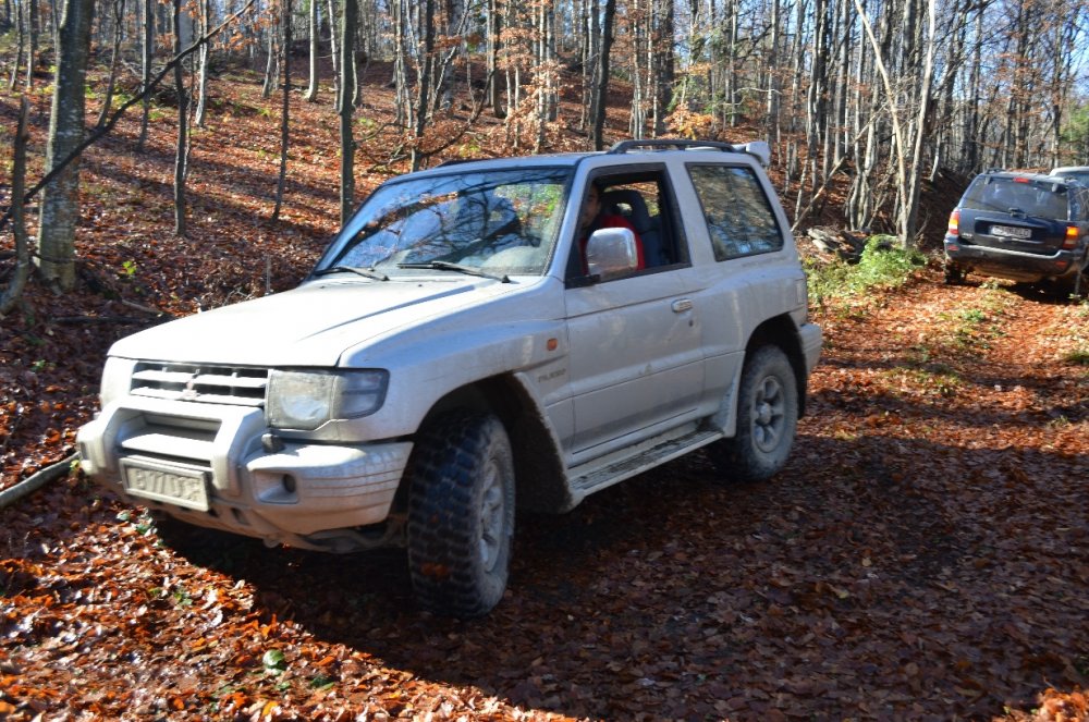 DSC_0354.thumb.JPG.45319fccf5514686743702cf04a334d5.JPG