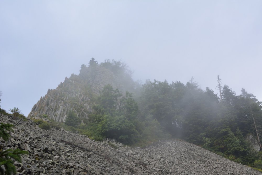 DSC_0402.thumb.jpg.08786ed89ac88028210903a9c05f97f9.jpg