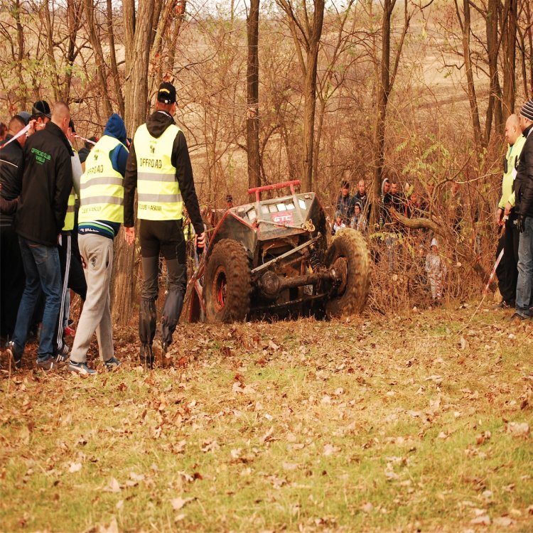 DSC_0408.thumb.jpg.3222eeb82a89f6c4d14a24692b698adb.jpg