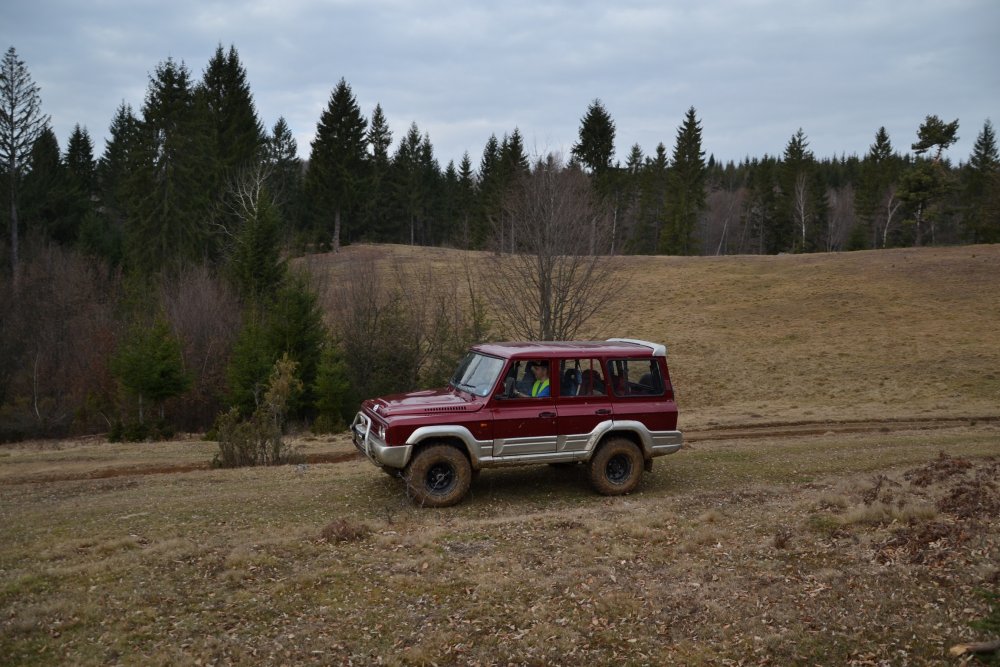 DSC_0421.thumb.JPG.ee6327ebd8f3860cb20c86e6f883b094.JPG