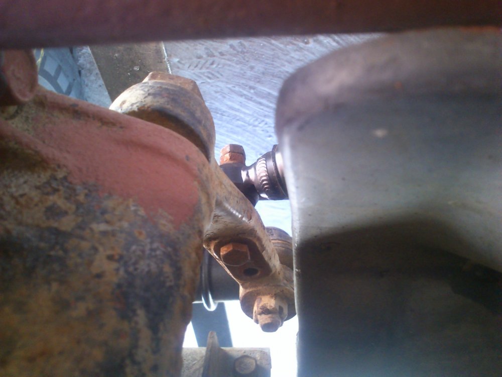 DSC_0479.thumb.jpg.d3c42171006b1c8b3c7fa7a35a87be8c.jpg