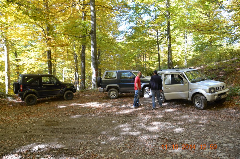 DSC_0481.thumb.jpg.3aaa186c38a12cb60b4a4eca484c2591.jpg