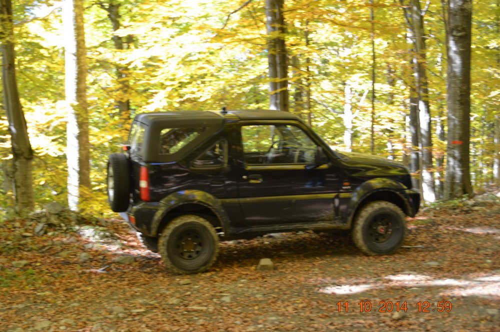 DSC_0483.thumb.jpg.988c3b4c81666558d849ab45876a2318.jpg