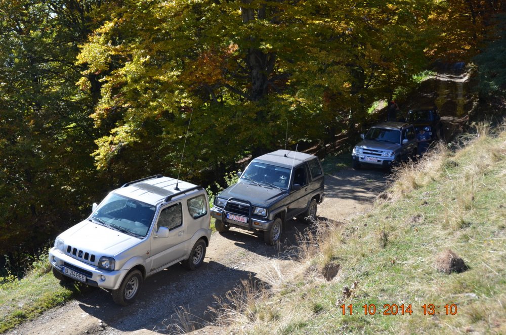 DSC_0487.thumb.jpg.1e83fd1ffe423417a0f52823cf6d9f57.jpg