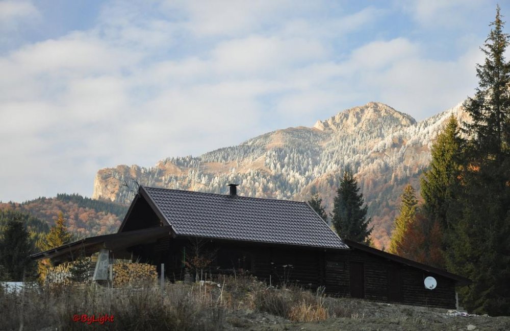 DSC_0528.thumb.jpg.ba0da124f8e1491e5f0c8592efe909eb.jpg