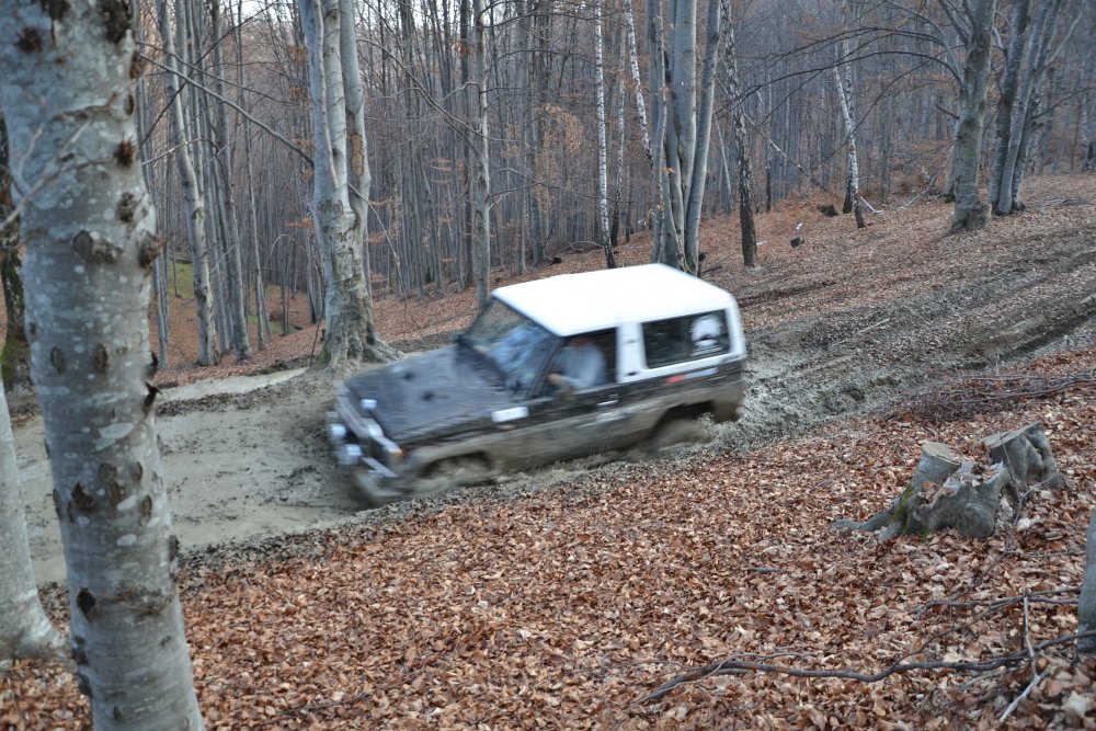 DSC_0553.thumb.JPG.f1de4f8fda63bdd279e9090a805465ab.JPG