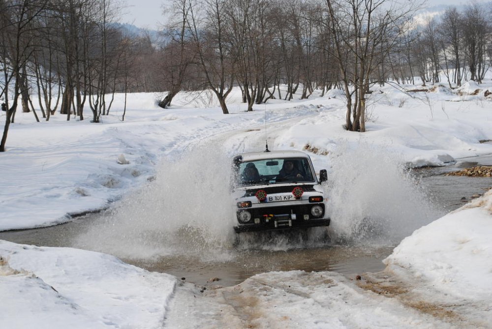 DSC_1147.thumb.jpg.c460fe224d09d6d7af35335ba1717ee7.jpg