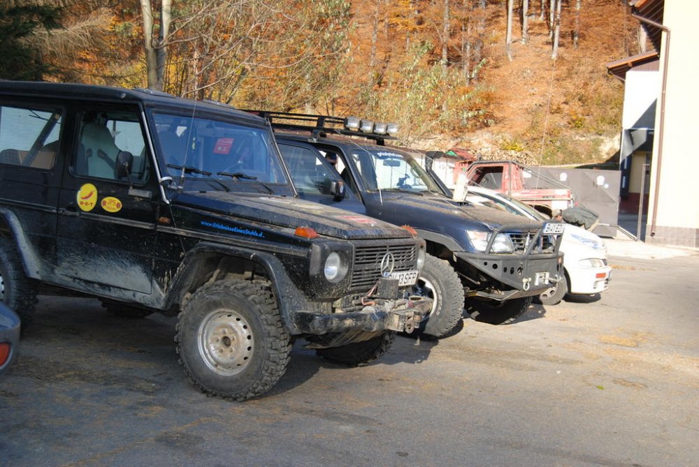 DSC_1474.thumb.jpg.470252e6c40e454d4b9804cf1df8db8e.jpg