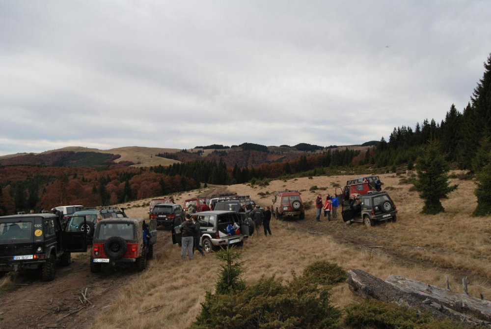 DSC_1518.thumb.jpg.c0673e0b661837c7969de8d58eeeff18.jpg