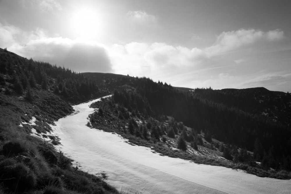 DSC_2294.thumb.jpg.68f1f2339503e54300a672af984678c9.jpg