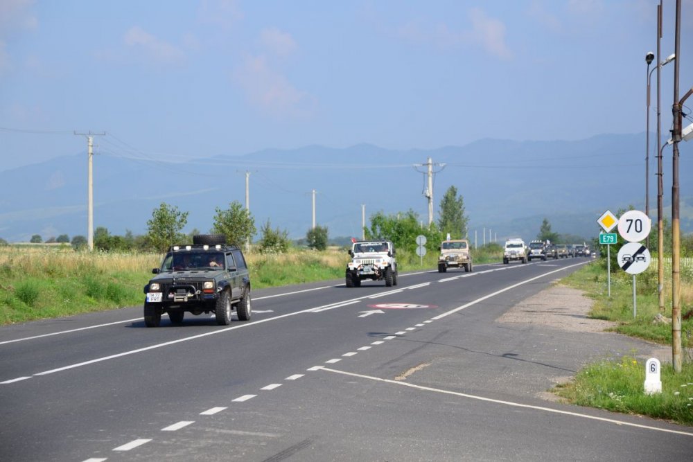 DSC_2771.thumb.JPG.a9a46345bbfe2158518c3974d6356992.JPG