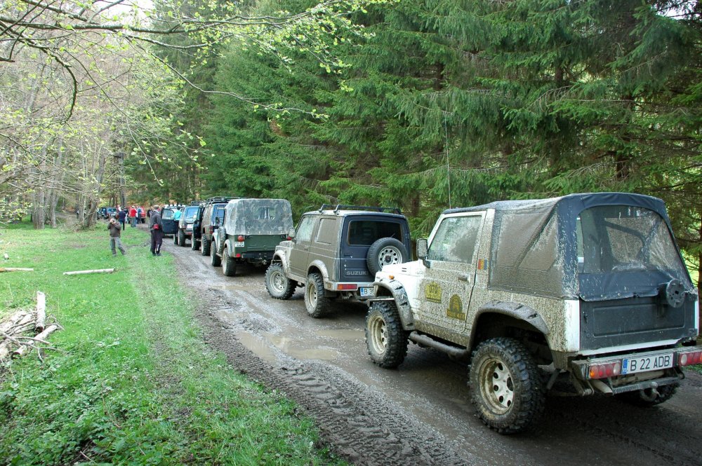 DSC_3714.thumb.JPG.53042dd283326e727470ad04b244e65d.JPG