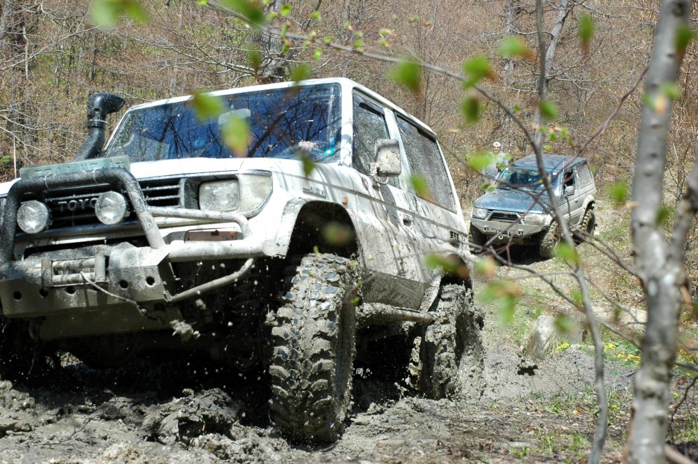 DSC_3743.thumb.JPG.930f4baefe72a3c50cc3ef0e3c3b6f83.JPG