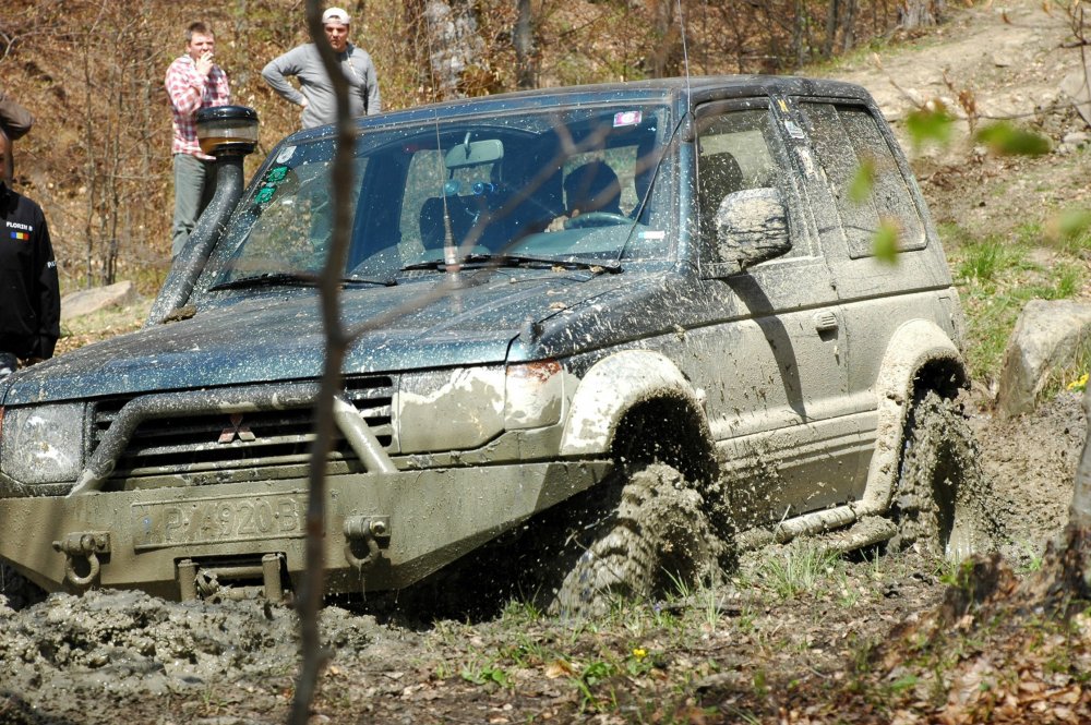 DSC_3746.thumb.JPG.09c3662ce44da0aa253724ae22366c54.JPG