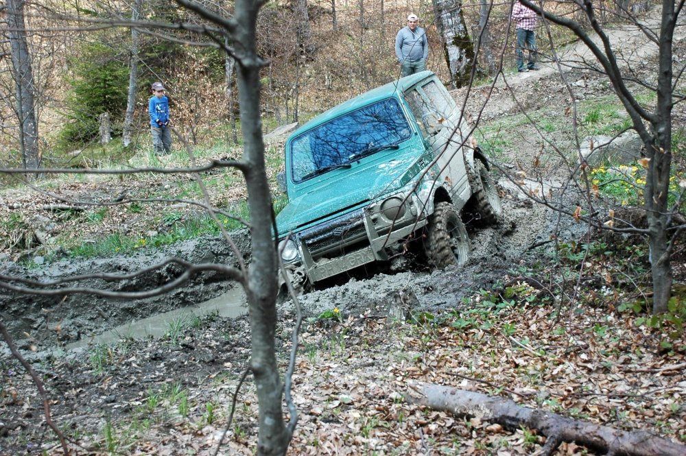 DSC_3748.thumb.JPG.c344921e332cbcb5136bd20bbd00c933.JPG