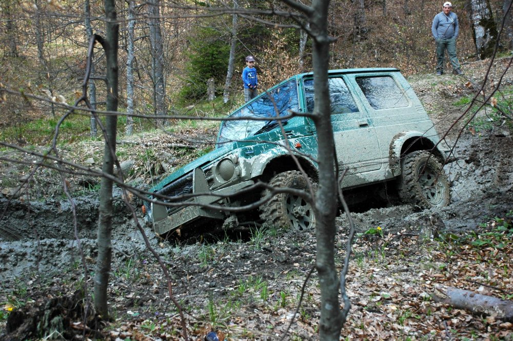 DSC_3749.thumb.JPG.bd42cff949811678624c15e1db3a7ff1.JPG