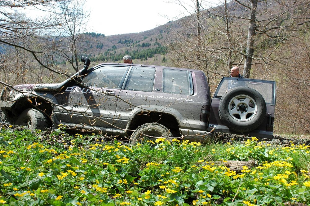 DSC_3760.thumb.JPG.79ae68c42578614ea4eb8020d4475344.JPG