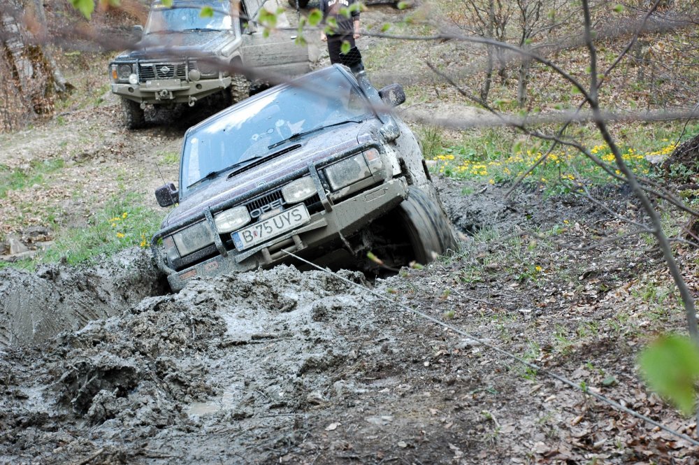 DSC_3764.thumb.JPG.a1055923ce1c9d7a7c5c0f13956203ab.JPG