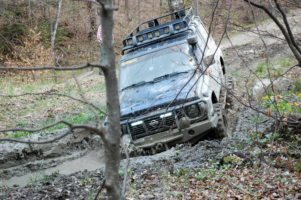 DSC_3769.thumb.JPG.ec9e7b0f4790981dc53a5e7e4828374c.JPG