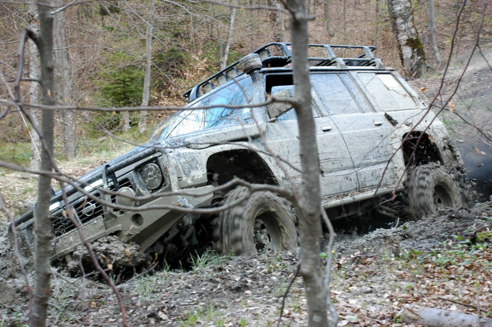 DSC_3771.thumb.JPG.0b7f62c3c34f6cd2f7cd5d8110beab93.JPG