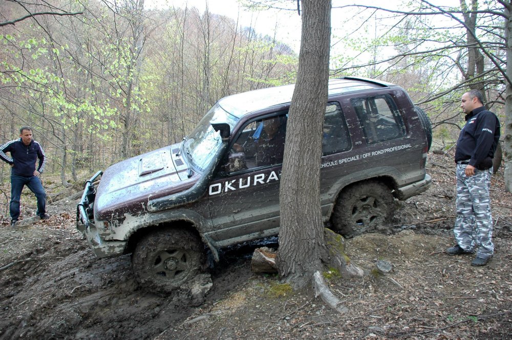 DSC_3778.thumb.JPG.845fb7045f66710df399530f99c008cf.JPG