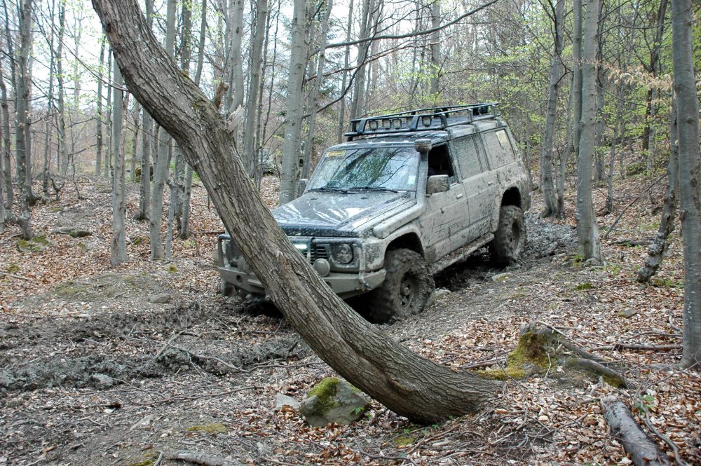 DSC_3780.thumb.JPG.4f8df01049aceeed64b06afbd7f727a2.JPG