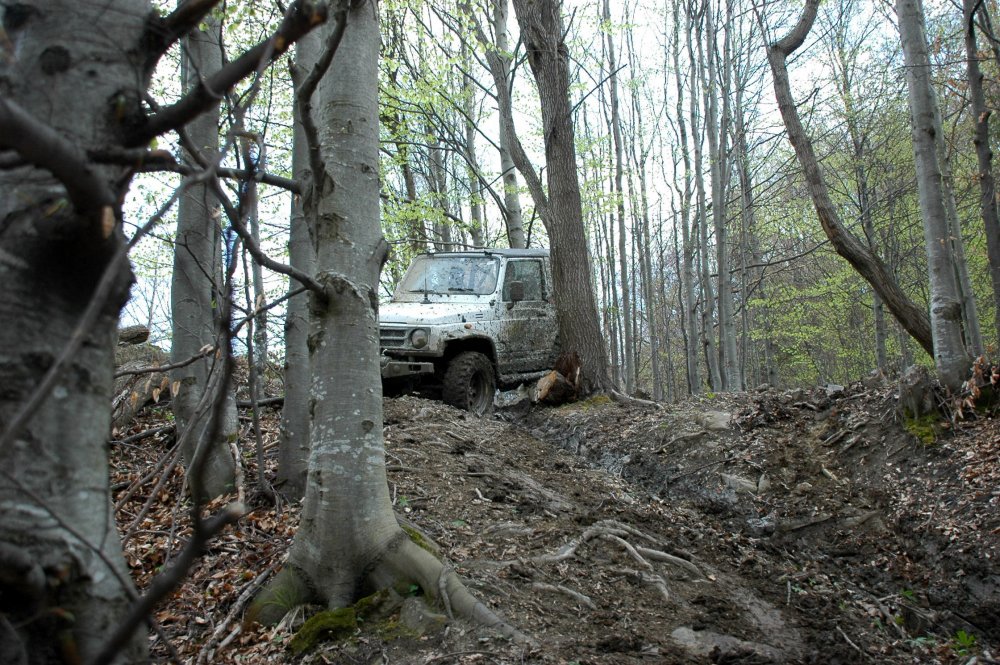 DSC_3787.thumb.JPG.5269cc15ec6f04fce68439c6477e5b98.JPG