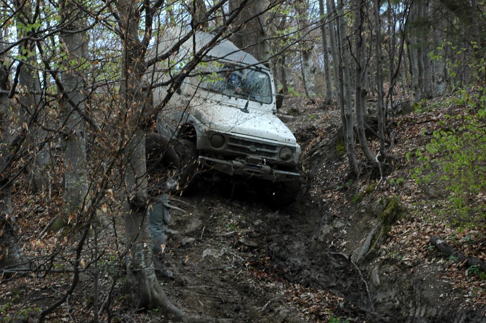 DSC_3788.thumb.JPG.023530300c8a80818932b1f12400c2d1.JPG