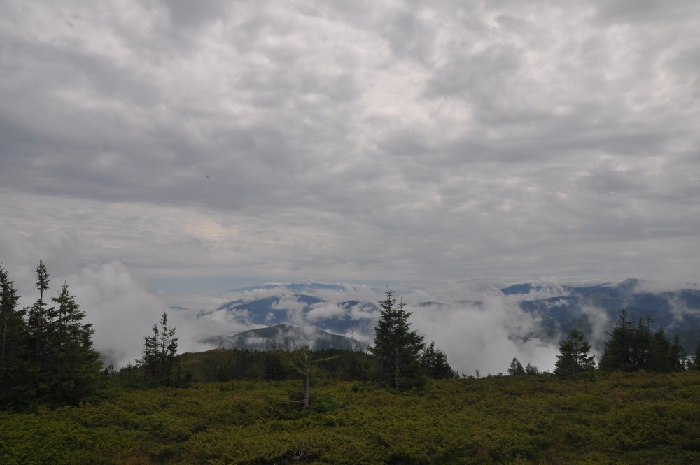 DSC_4112.thumb.JPG.0b7733c382b6ed6955f5194f3d14964d.JPG