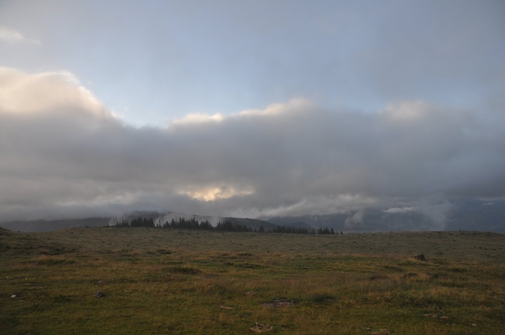 DSC_4228.thumb.JPG.e95044c56264344f4ee61319491c21fa.JPG