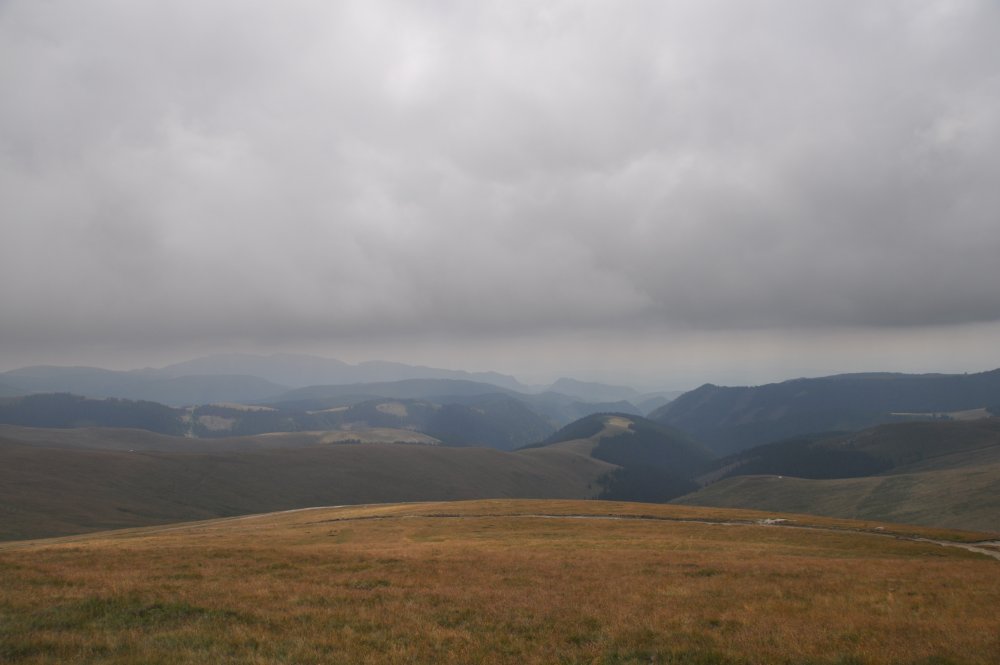 DSC_4332.thumb.JPG.f130934b64e77385381b739dde5f3eb7.JPG