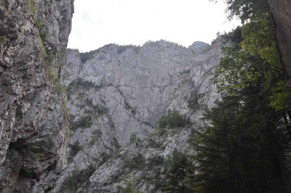 DSC_4402.thumb.JPG.64d77e5e7b7bb366b56ed9ed74c47536.JPG