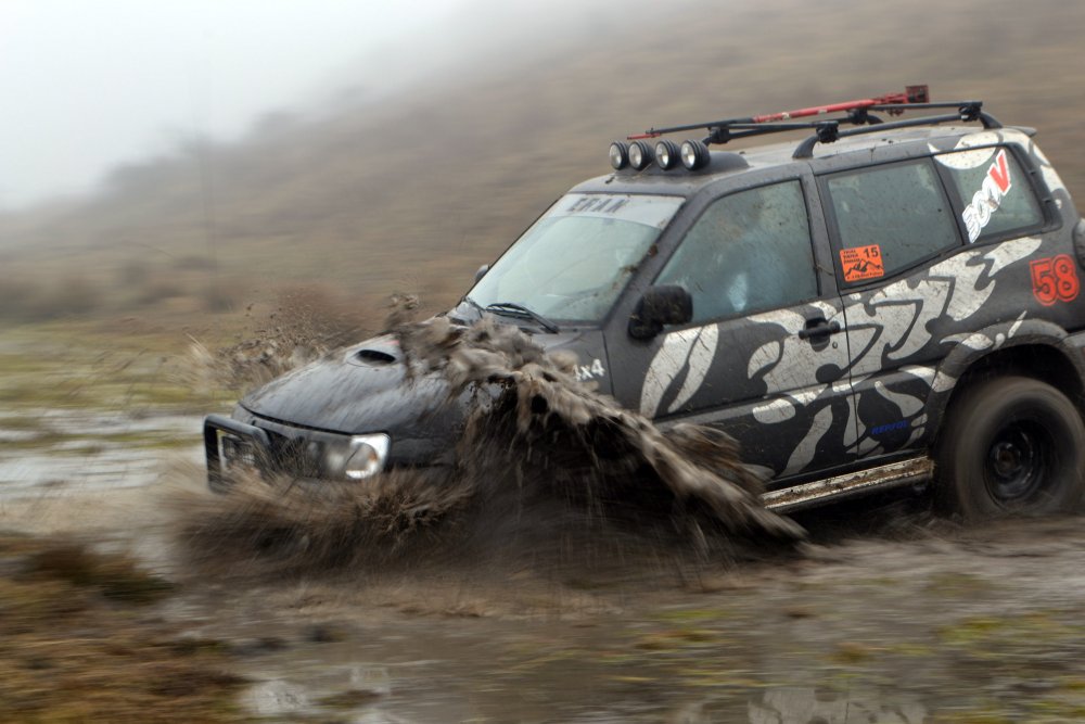 DSC_7013.thumb.jpg.7f46d0e0f45e5e108f48160d7ccb0c1c.jpg