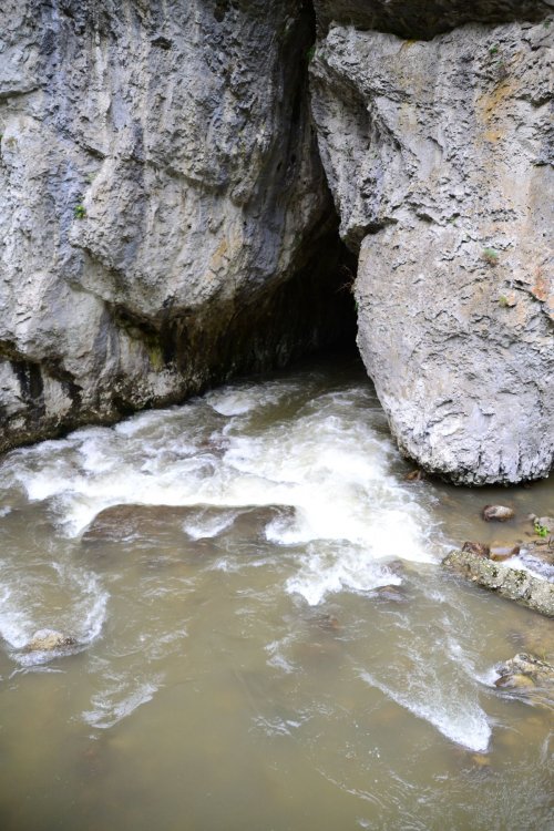 DSC_7149.thumb.JPG.41e70e44c64e3840d5702328661ff806.JPG