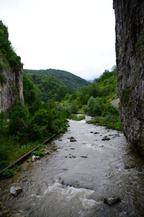 DSC_7178.thumb.JPG.5c581678bddb2518139ae60cf51ee748.JPG