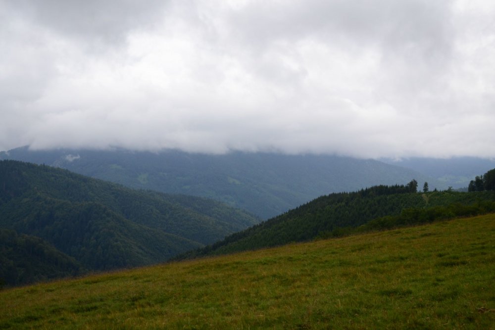 DSC_7267.thumb.JPG.97c5416c853c97e4584cd3a3e9406d4b.JPG