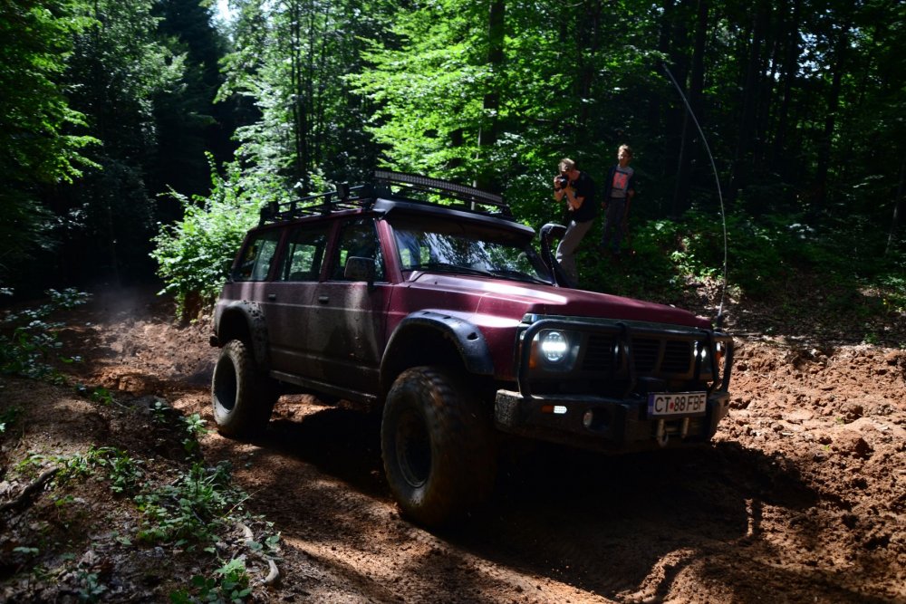 DSC_7594.thumb.JPG.f44a8ef956b17f3f36c566eba4052790.JPG