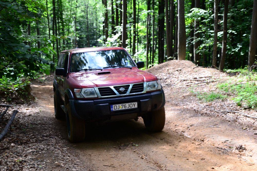 DSC_7674.thumb.JPG.fe88c076971800161d43db77047f1c24.JPG