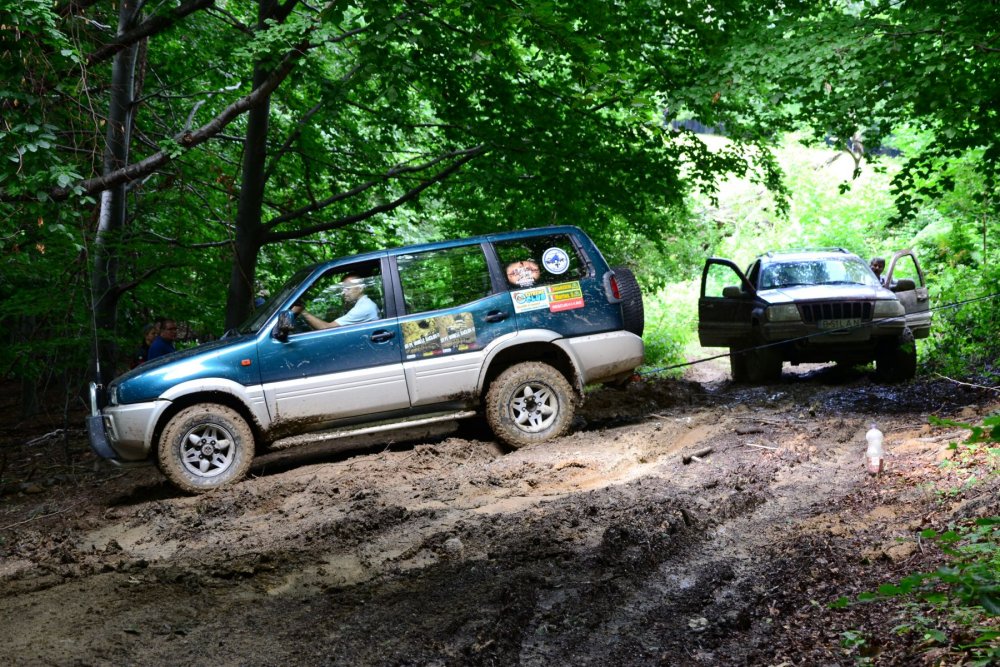 DSC_7692.thumb.JPG.7c1bc86f5e24c2d2d01cb0e9f3bb4090.JPG
