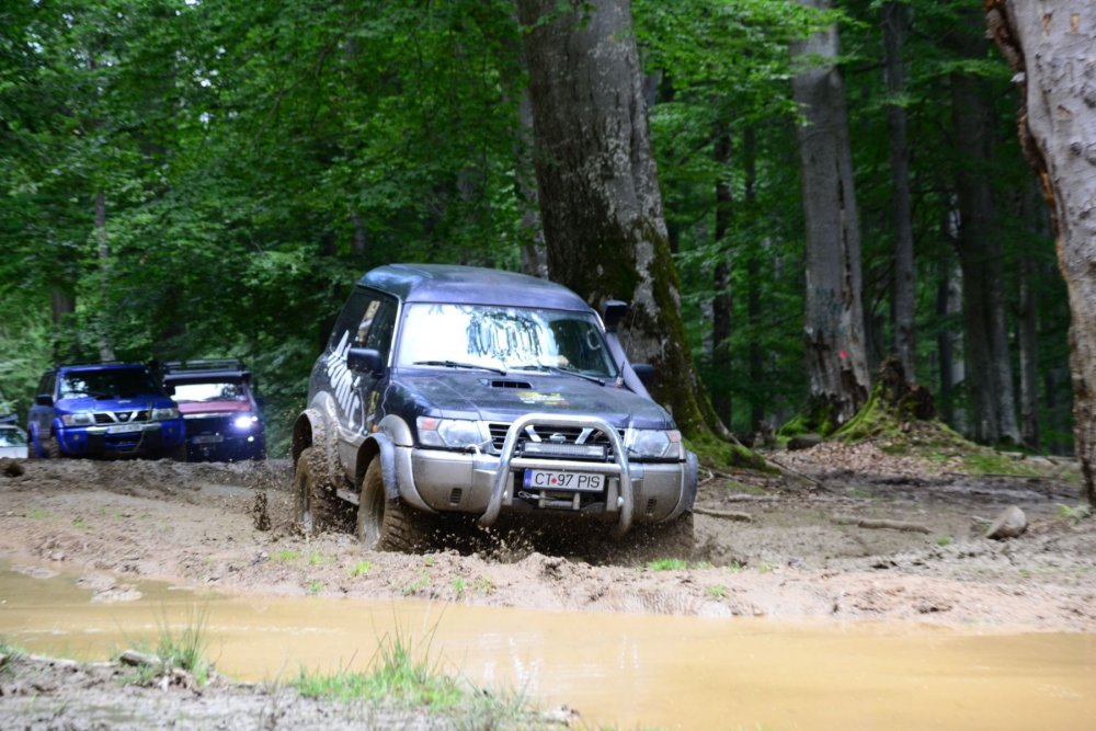 DSC_8478.thumb.JPG.dac3da2f18bb345f8117ad463fc4681d.JPG
