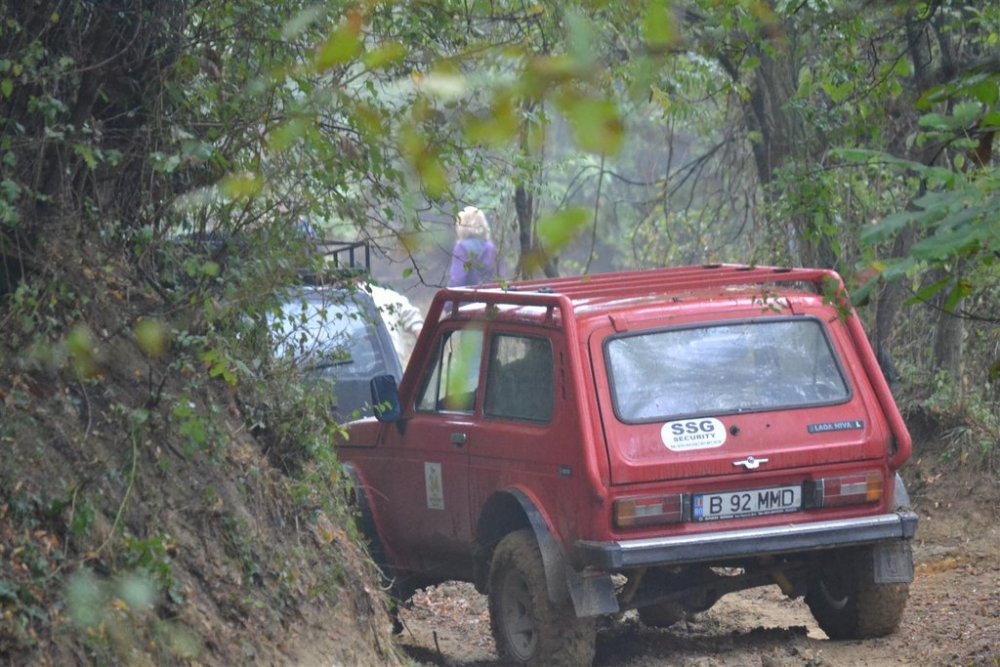 DSC_8924.thumb.jpg.f1ecce93f5dd1788ab5197c8552fa59d.jpg