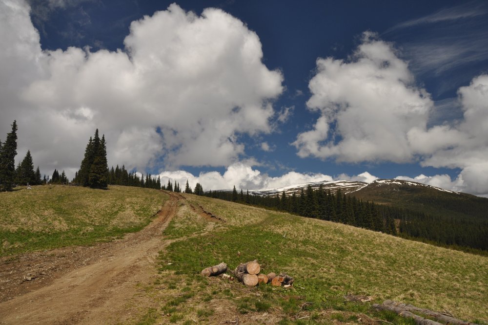 DSC_9197.thumb.JPG.753d4fb4e44a8e4b29058502d2bc9833.JPG