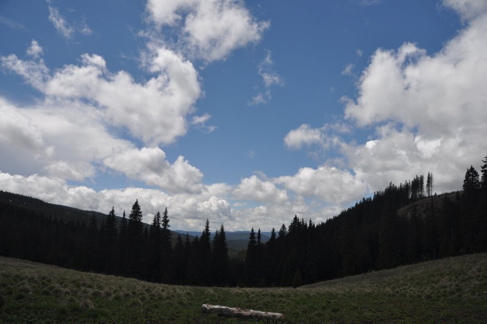 DSC_9203.thumb.JPG.d42f1a170fd3994625853aa4e7b756c7.JPG