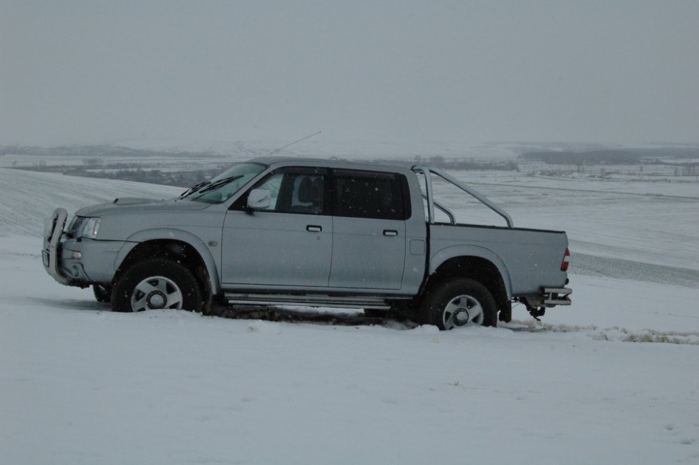 DSC_9807.thumb.JPG.cce431f533ea3e3e010fd141973fa0eb.JPG