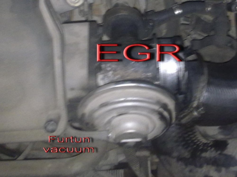 EGR.thumb.jpg.6b2e656b4dff74eab533a32d92733e46.jpg