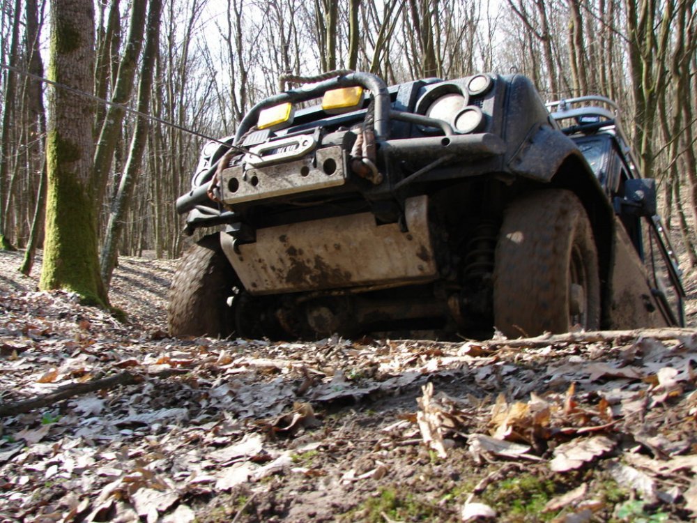 FDSC00260.thumb.jpg.8af67dce0181999a7e32876cc53e7fd6.jpg