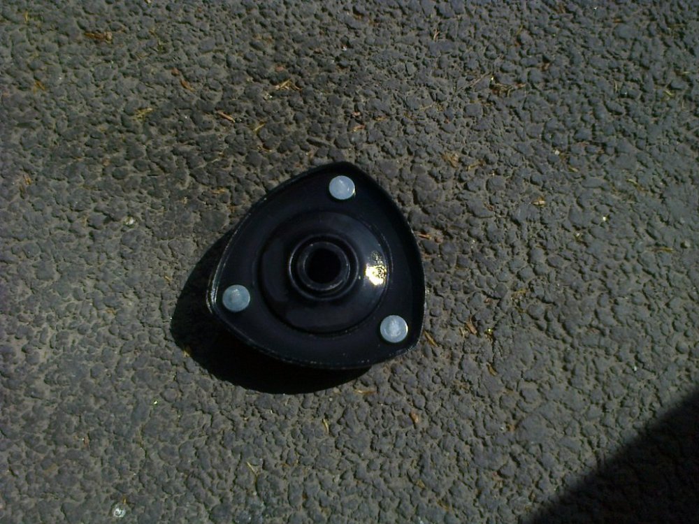 Fotografie0136.thumb.jpg.770d46796c74ee5ec558161c73ad4fdc.jpg