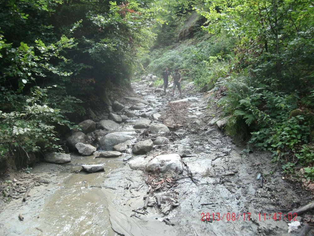 GEDC1726.thumb.JPG.9ee1709502c02cc9a563504444923d1b.JPG