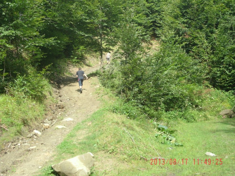 GEDC1729.thumb.JPG.2ecbfc0c65d45d94c876a62e6835f2b1.JPG