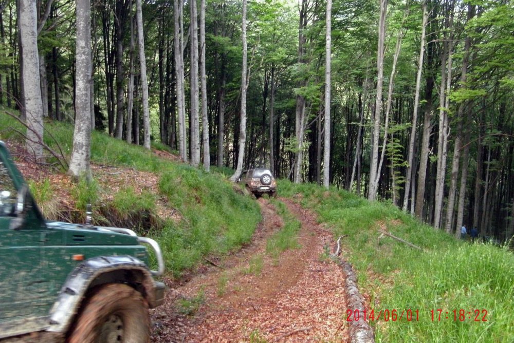GEDC2136.thumb.JPG.12af032174608eb1cf0202133e734b0a.JPG